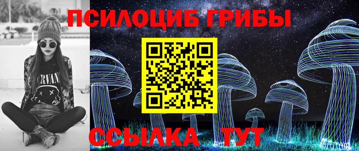 Симферополь  Галлюциногенные грибы прущие грибы  Псилоцибиновые грибы Psilocybe  Вход с VPN 